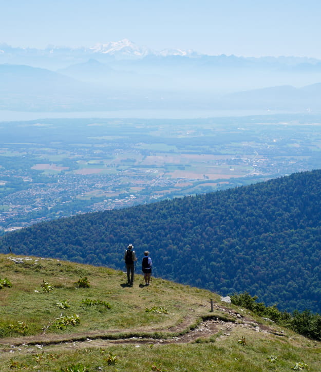 Vue sur le Pays de Gex, le Mont Blanc depuis le Petit Mont Rond