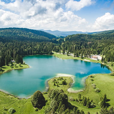Lac Genin