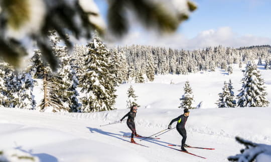 Skieurs de fond