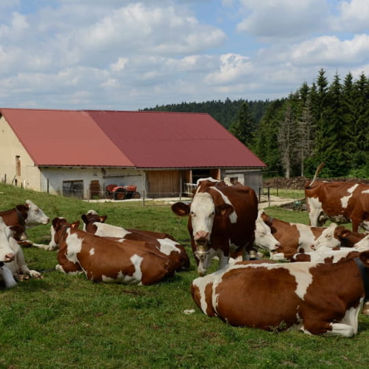 chambres d hotes ferme de Fleurette