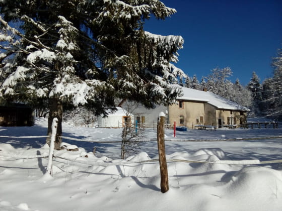 https://www.montagnes-du-jura.fr/hiver-et-neige-dans-les-montagnes-du-jura/