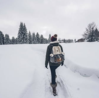 Le village des écureuils à CLAIRVAUX-LES-LACS : Jura Tourisme