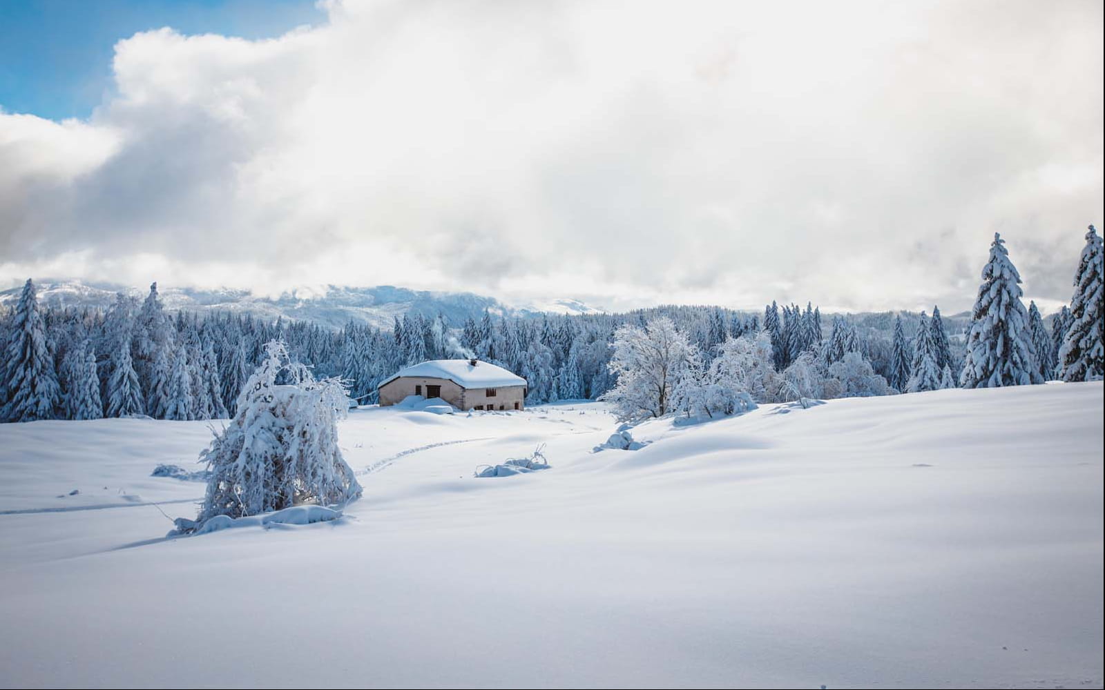 Ferme isolée dans les hautes combes