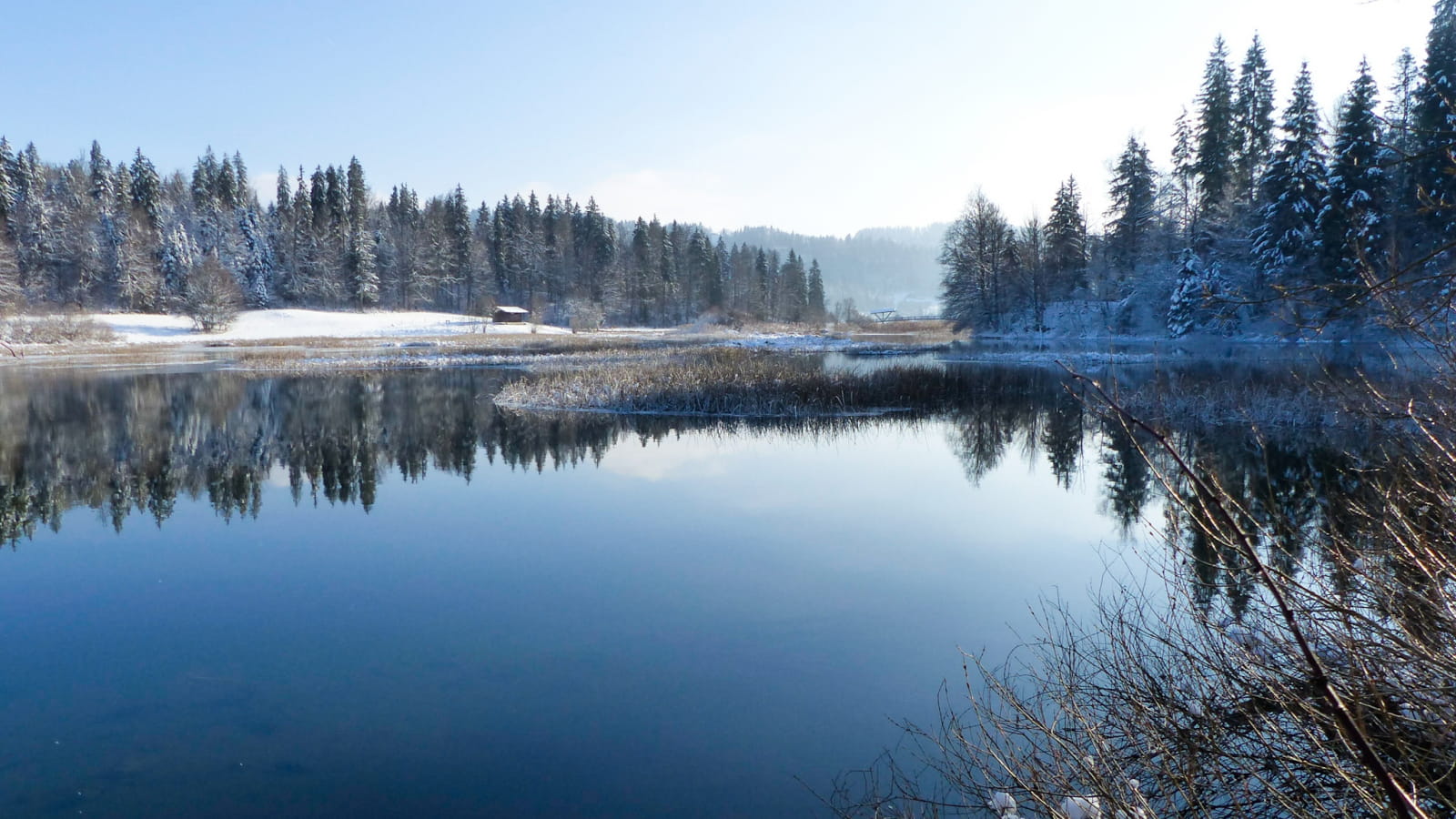 lac saint point en hiver