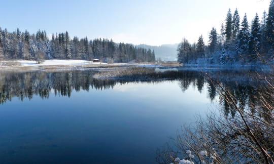 lac saint point en hiver