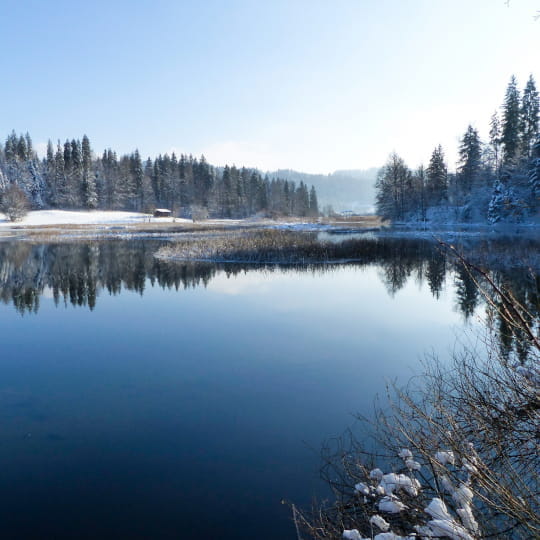 lac saint point en hiver