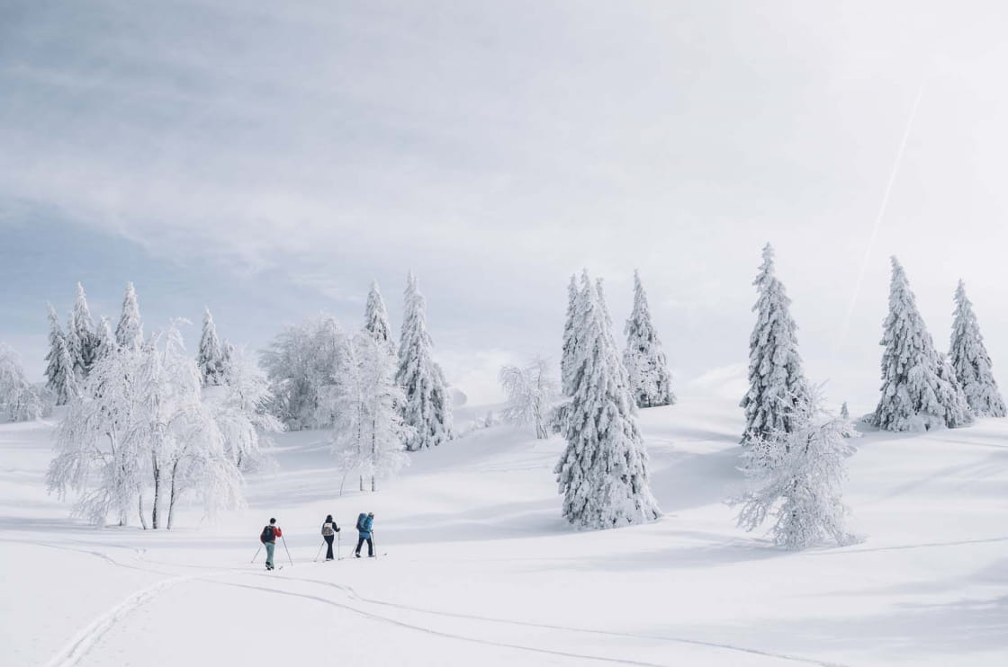 Ski de rando au sommet du Mont d'Or