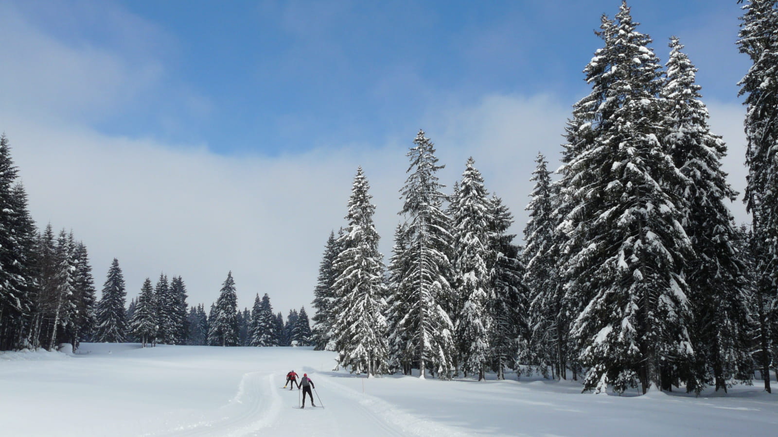 Ski nordique dans le Haut-Doubs