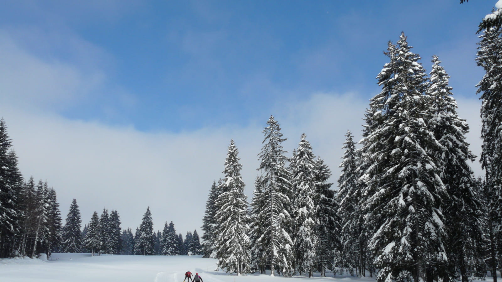 Ski nordique dans le Haut-Doubs
