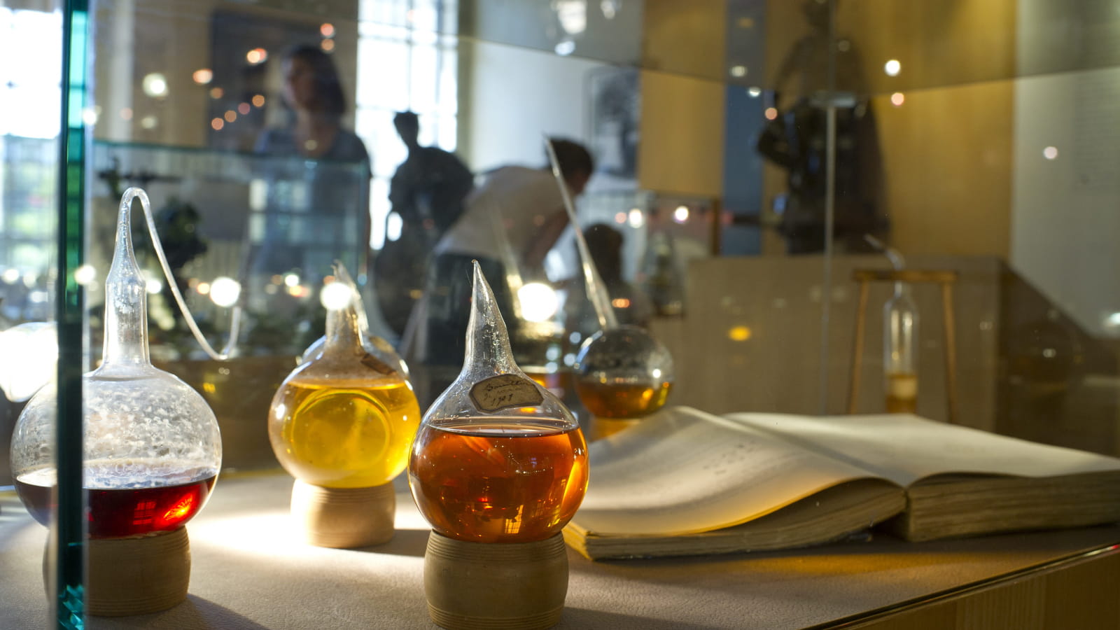 Visite de la maison natale de Louis Pasteur à Dole