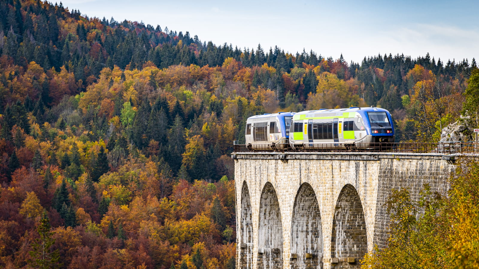 Ligne des hirondelles en automne