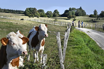 Balade vélo dans la Vallée de Drugeon Circuit cyclo labellisé 'Vélo et Fromages'