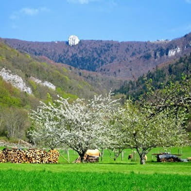 Patrimoine du village d'Arvière-en-Valromey : Virieu-le-Petit