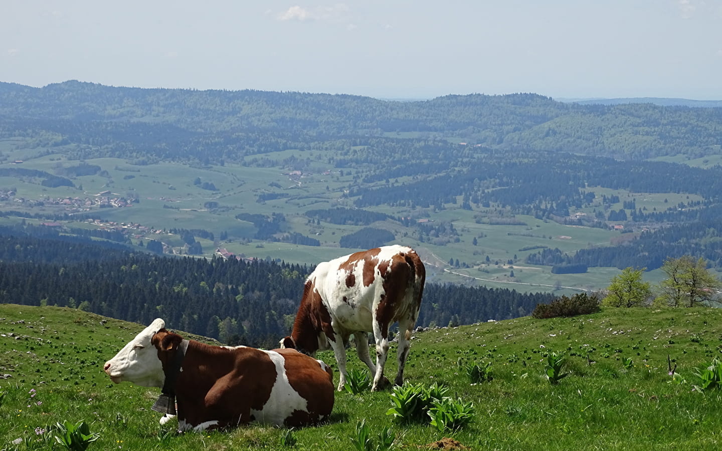 Office de Tourisme du Pays du Haut-Doubs