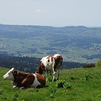 Office de Tourisme du Pays du Haut-Doubs - METABIEF