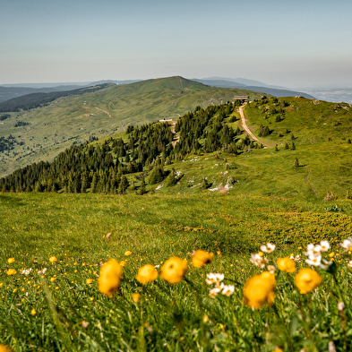 Grande Traversée du Jura à pied : De Culoz à la Borne au Lion