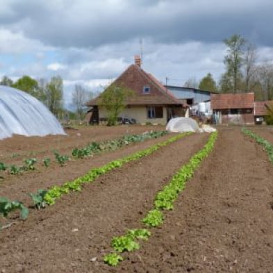 Produits du terroir - ferme au bas de l'étang