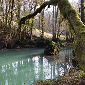 Sentier Courbet 7 : L'école de la nature - ORNANS