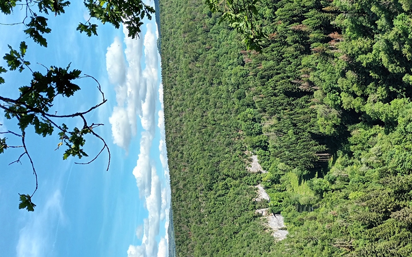 La Gauloise