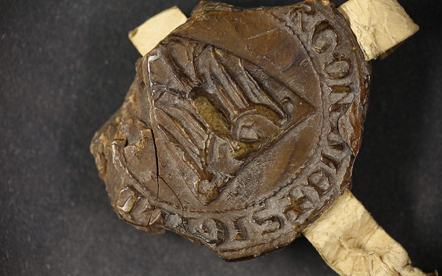 Les RDV de l'Histoire de Dole - Dole, des origines à la première moitié du XIVème siècle