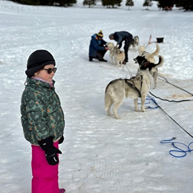 Baptême en traîneau à chiens avec Symbiose chien polaire