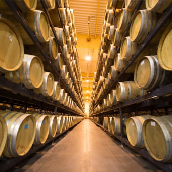 La maison du vigneron - HAUTEROCHE
