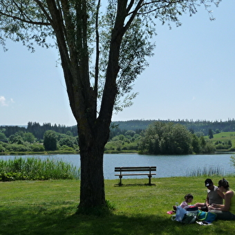 Lac de Remoray - LABERGEMENT-SAINTE-MARIE