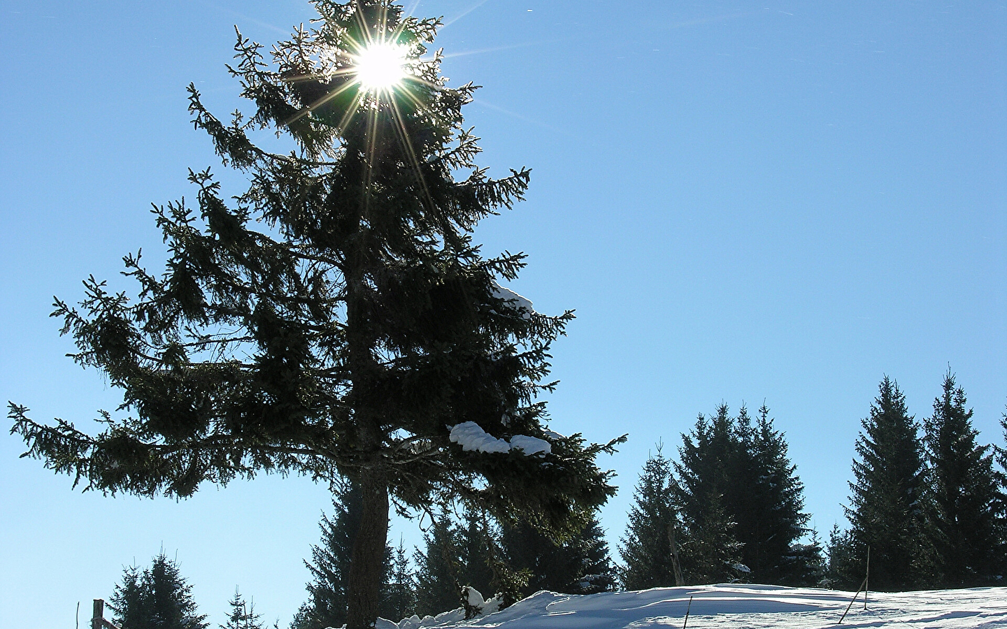 Site Nordique de Gilley