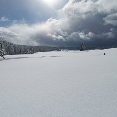 La découverte des Hautes-Combes du Jura en raquettes