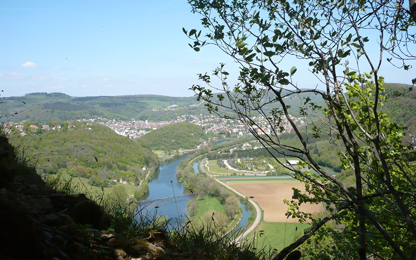 Mont Dommage