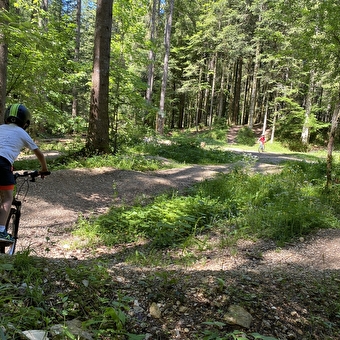 Station de Loisirs de la Combe Saint-Pierre - Bike park - CHARQUEMONT