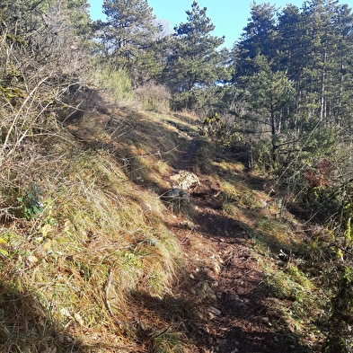 Randonnée - Treffort et le belvédère du Mont de Grillerin