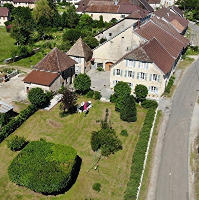 Les hirondelles