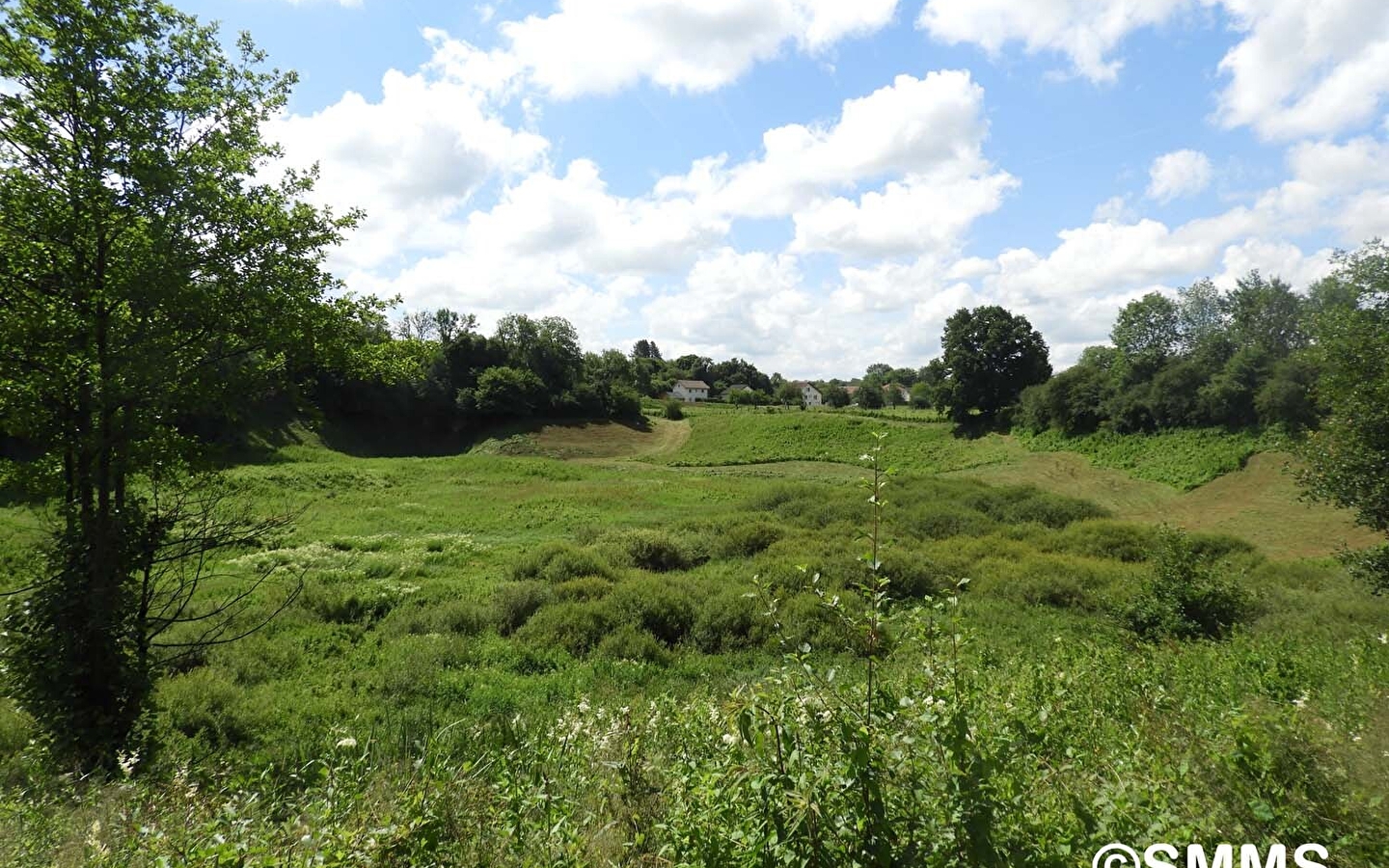 Boucle des milieux naturels du marais de Saône