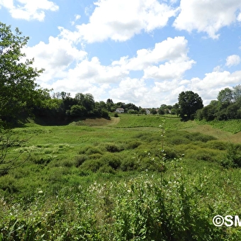 Boucle des milieux naturels du marais de Saône - SAONE