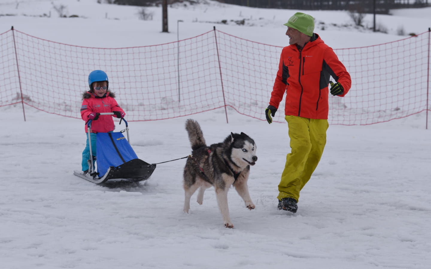 Free Sled - Baby Park et Traîneaux Kids