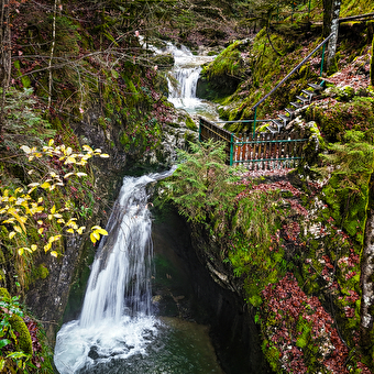 Les Chaudières - LES GRAS