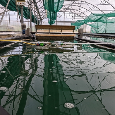 Visites de la Ferme du Puy de la Velle (Spiruline du Doubs)