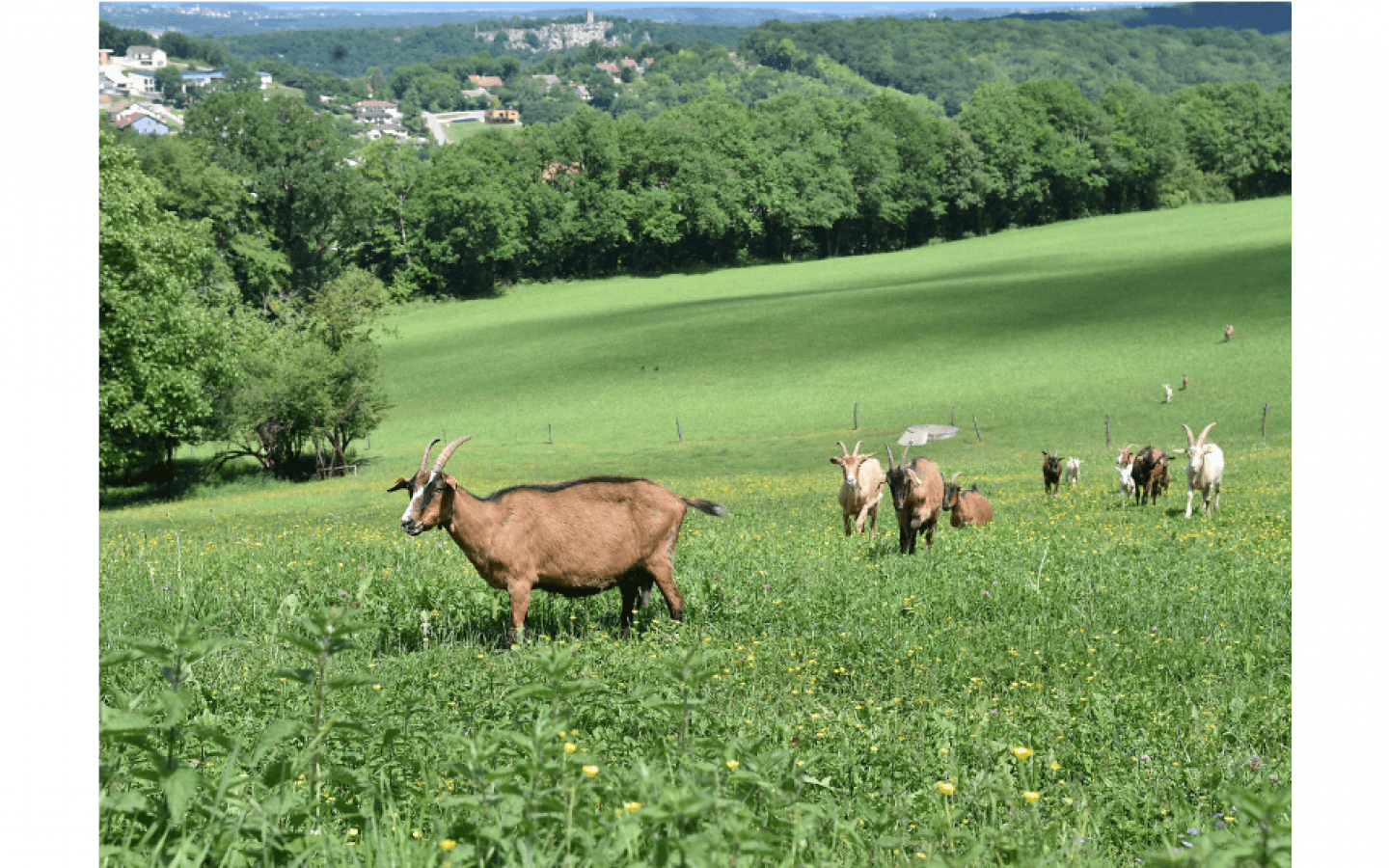 Sentier des Crêtes