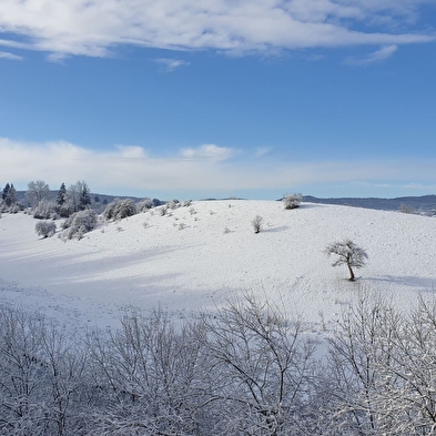 Ô Fil du Doubs