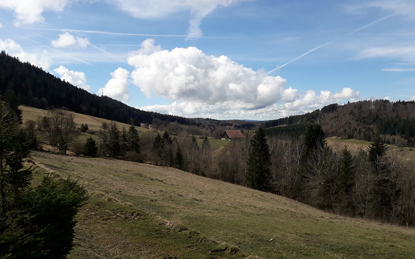 La Combe du Creux