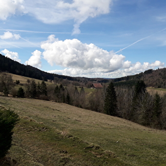La Combe du Creux - PONTARLIER