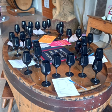 Expérience immersive aux verres noirs