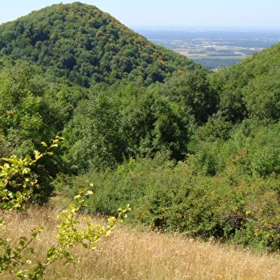 Château de Montfort, éperon barré celte ou site médiéval
