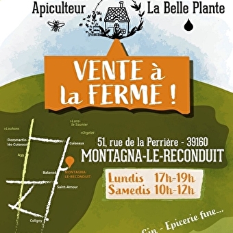 Vente des produits de la distillerie La Belle Plante et de l'apiculteur Marc Robin - MONTAGNA-LE-RECONDUIT