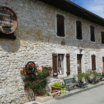 Caveau Dufour - MASSIGNIEU-DE-RIVES