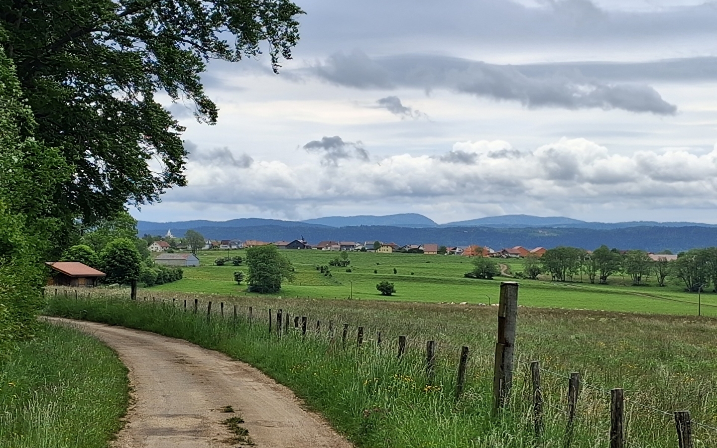 Le Grand-Bois - n°111