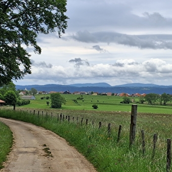 Le Grand-Bois - n°111 - CHAFFOIS