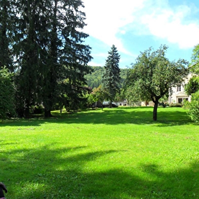 Chambres d'hôtes A la Grenouille