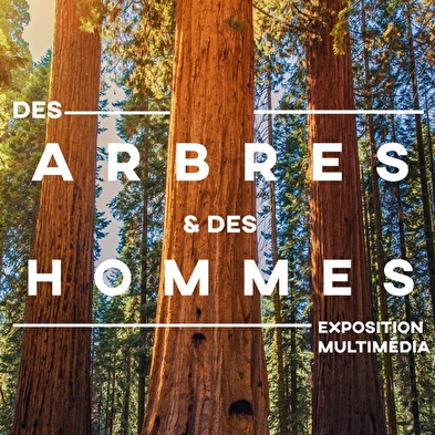 Exposition : Des arbres et des hommes